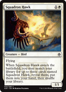 Picture of Squadron Hawk                    